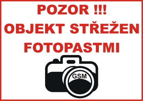 fotopast